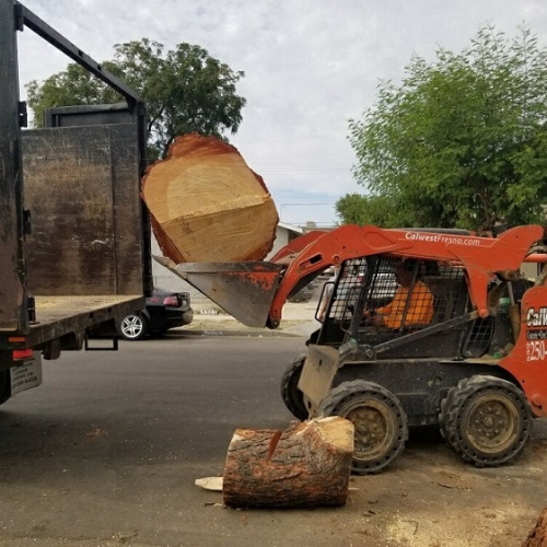 Tree Stump Removal Atascadero