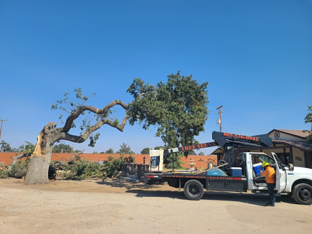 Los Osos Tree Services