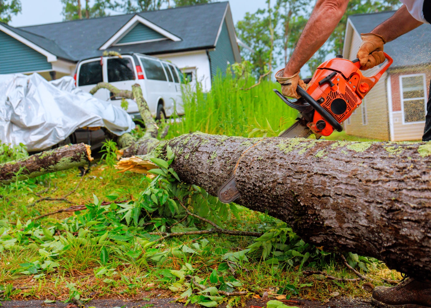 Fallen trees can block driveways, roads, or walkways